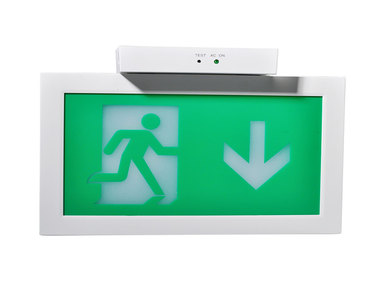 LE2915-A Siling Mounted Double Face Exit Signs