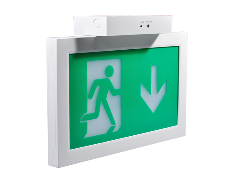 LE2915-A Siling Mounted Double Face Exit Signs