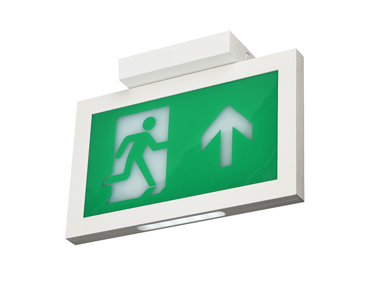 LE2915-A Siling Mounted Double Face Exit Signs